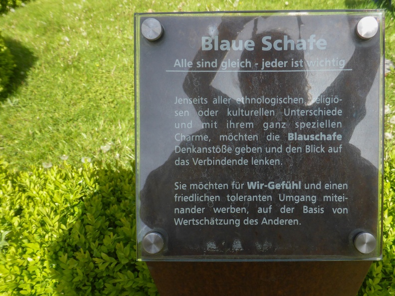 Blaue Schafe für das Wir-Gefühl
